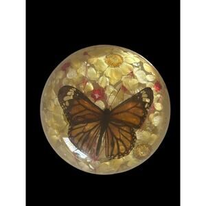 Real Preserved Monarch Butterfly Resin Flower Dome Paperweight 4” X 2”